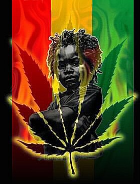 Ti rasta baby