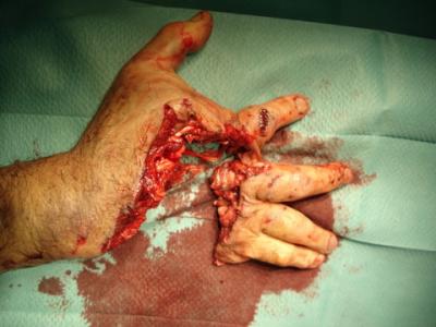 R&eacute;el image pani pi&egrave;ss trukaj